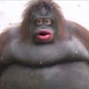 Meet your Posher, Nathan